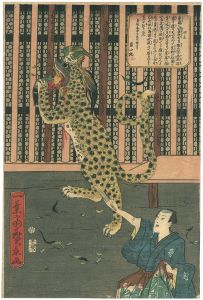 Hirokage/Show of the tiger[口上 虎の見世物]