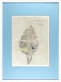 <strong>Minami Keiko</strong><br>Arbre en fleurs