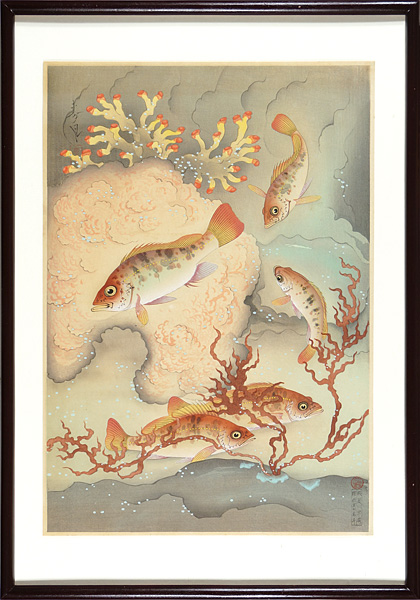 Ono Bakufu “Great Japanese Fish Picture Collection / Vol.1 No.7 The Mebaru (Rockfish)”／