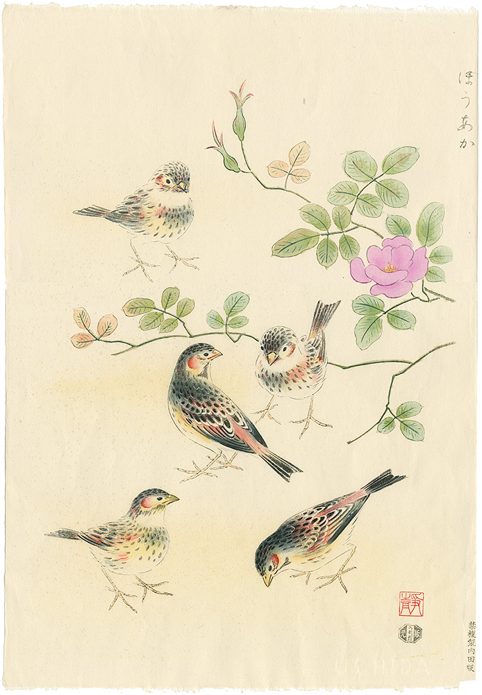 Ashikaga Shizuo “The Chestnut-eared bunting”／