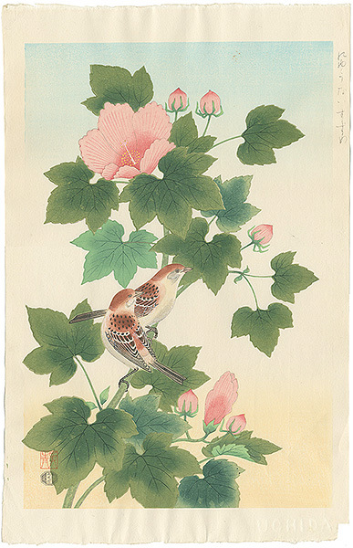 Ashikaga Shizuo “The Russet Sparrow”／
