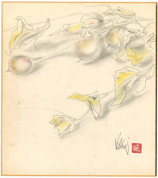 國領經郎｢自筆画色紙　からすうり｣／