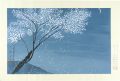 <strong>Hayami Gyoshu</strong><br>Evening of flower