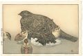 <strong>Yoshida Toshi</strong><br>Raicho