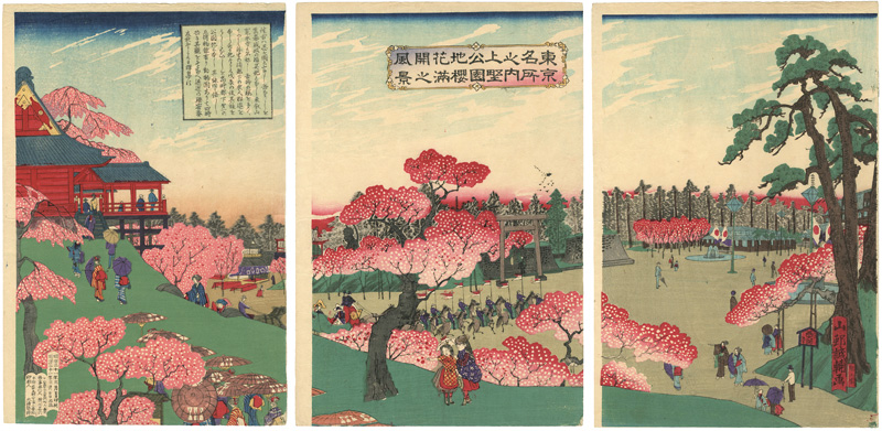 Yamamura Seisuke “Famous sights in Tokyo; Scenery of Cherry-blossom Fully Blooming in the Ueno Park	”／