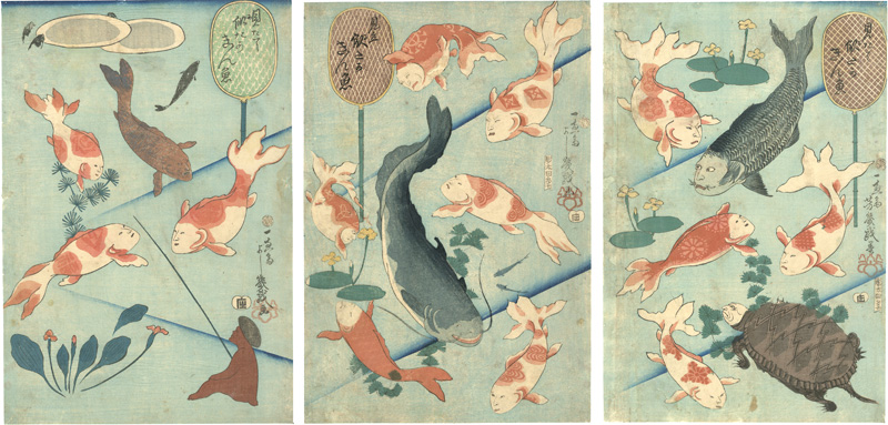Yoshiiku “A Parody of Goldfish with Actor's Expressions”／