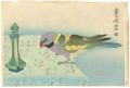 <strong>Yamamura Koka</strong><br>Parakeet and Perfume