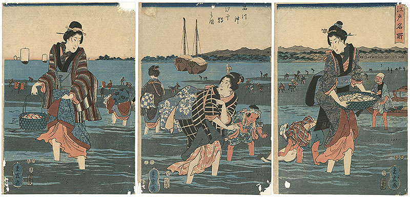 Shigenobu “Famous Places in Edo / Shinagawa, Clam digging”／