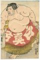Sumo-e : Shiramayumi