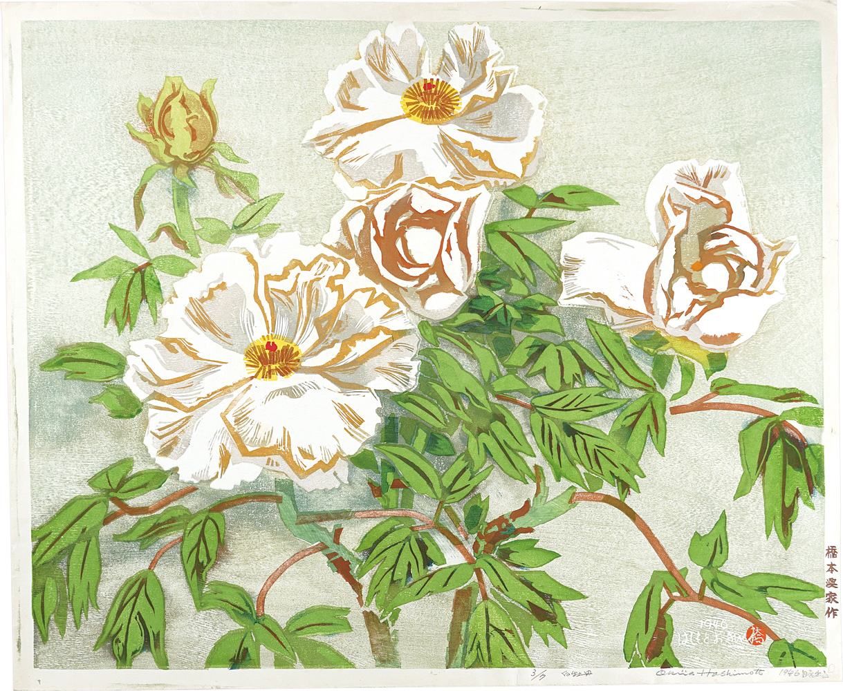 Hashimoto Okiie “White Peony”／