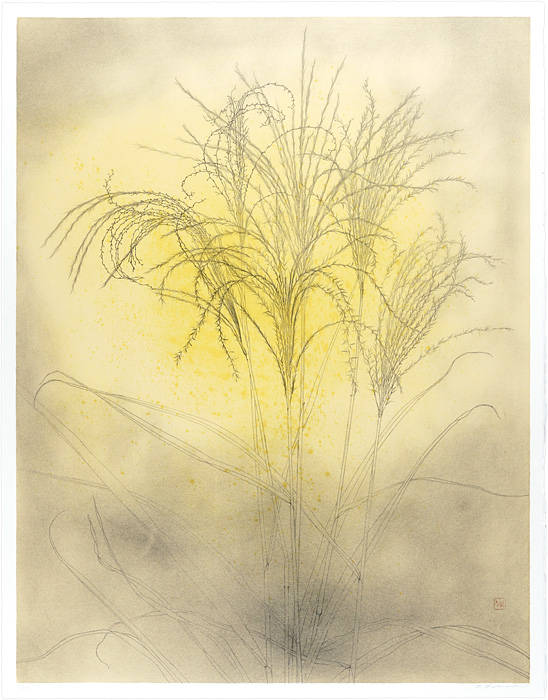 Tabuchi Toshio “Japanese pampas grass”／