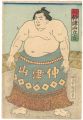 <strong>Kuniaki</strong><br>Sumo-e  / Tokyo Nakatsuyama Ta......