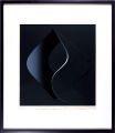 <strong>Onogi Gaku</strong><br>Landscape X.S