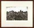 Paysage