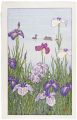 <strong>Yoshida Toshi</strong><br>Color of Early Summer