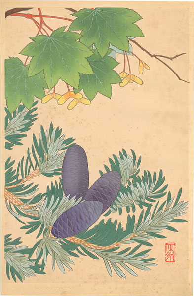 Inoue Masaharu “Japanese Alpine Plants / Acer Sieboldianum and Abies Homolepis”／