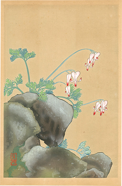 Inoue Masaharu “Japanese Alpine Plants / Dicentra Peregrina”／