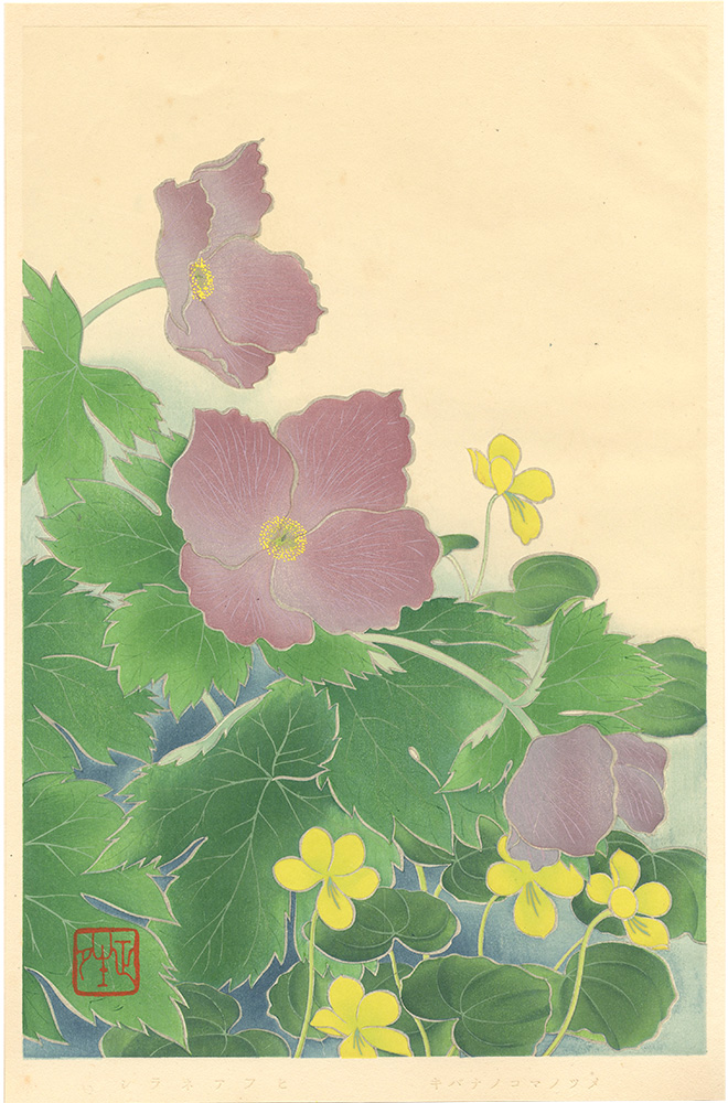 Inoue Masaharu “Japanese Alpine Plants / Viola Biflora and Glaucidium Palmatum”／