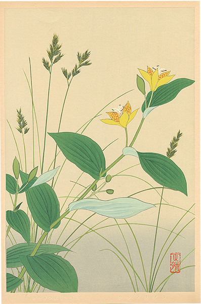 Inoue Masaharu “Japanese Alpine Plants / Festuca Ovina and Tricyrtis Latifolia”／