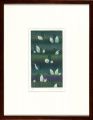 <strong>Shimizu Atsushi</strong><br>Skunk cabbage