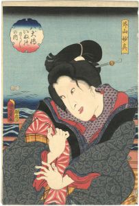 Kunisada II/The Book of the 8 Dog Heroes / Toyama Myoshin[八犬伝犬の草紙之内　外山妙真]