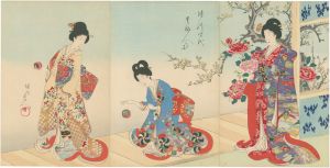 Chikanobu/Noble Ladies in the Tokugawa Era[徳川時代　貴婦人の図]