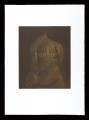 <strong>Ikeda Masuo</strong><br>CLASSICO TORSO / Unusually Bro......