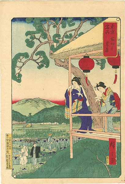 Hiroshige III “Famous Places of Tokyo / The Iris Garden at Horikiri ”／