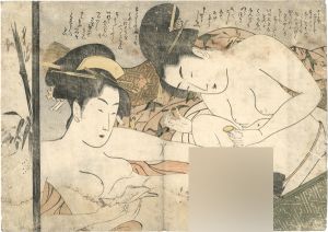 Eiri/Shunga[婦美の清書]