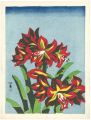 <strong>Kawanishi Hide</strong><br>Amaryllis