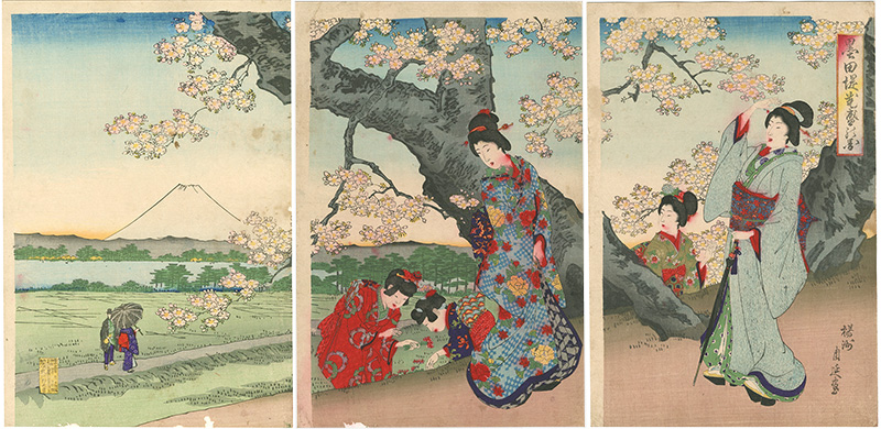 Chikanobu “Cherry Blossoms at Sumida”／