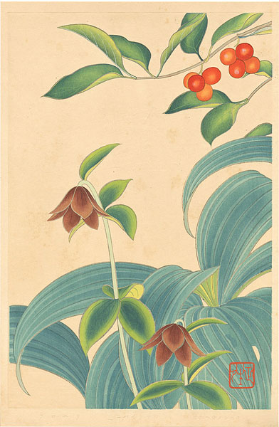 Inoue Masaharu “Japanese Alpine Plants / Lonicera Vidalii, Veratrum Stamineum and Fritillaria Camschatcensis”／