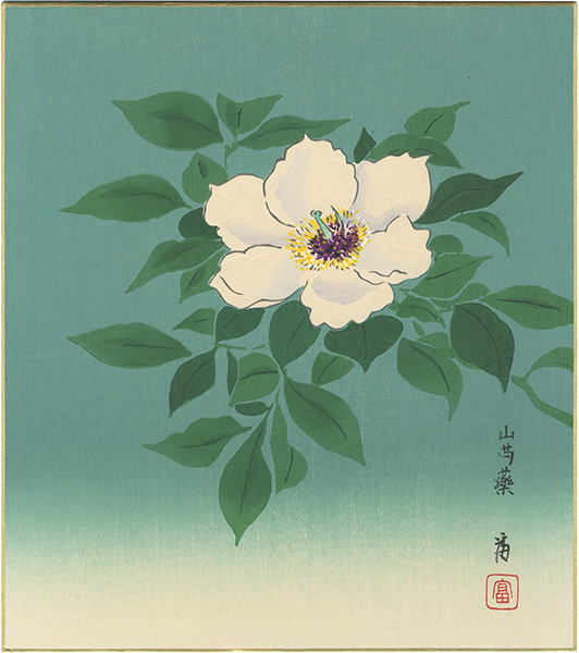 Tokuriki Tomikichiro “Peony”／