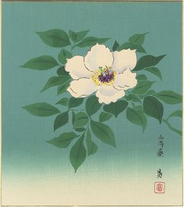 徳力富吉郎｢木版画色紙　山芍薬｣