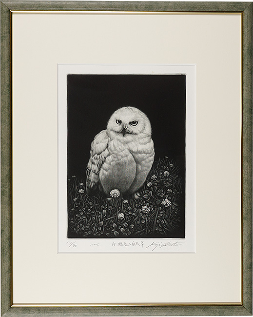 Ikuta Koji “White owl and birch grass”／