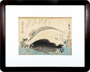 Hiroshige I/A Series of Fish Subjects / Flounder, Rockfish and Cherry Blossoms[魚づくし　ひらめ・めばるに桜]