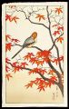 <strong>Yoshida Toshi</strong><br>The Ease of Autumn leaves