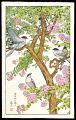 <strong>Yoshida Toshi</strong><br>Gather in Crape myrtle