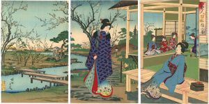 Chikanobu/Beauties in the Plum Garden[美人遊梅園の図]