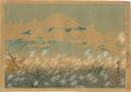 <strong>Tokuriki Tomikichiro</strong><br>Thirty-Six Views of Mt. Fuji /......