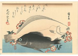 広重初代｢魚づくし　ひらめ・めばるに桜【復刻版】｣