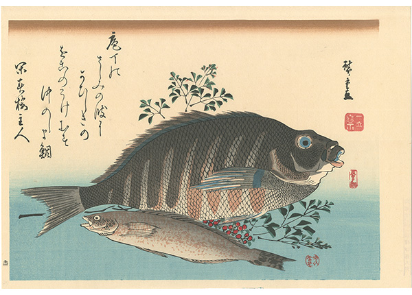 Hiroshige I “A Series of Fish Subjects / Barred knifejaw, Greenling and Heavenly bamboo【Reproduction】”／