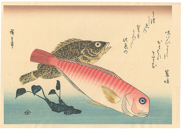 Hiroshige I “A Series of Fish Subjects / Tilefish, Moio and Horseradish(Wasabi)【Reproduction】”／