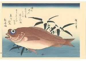 広重初代｢魚づくし　赤魚に笹葉【復刻版】｣