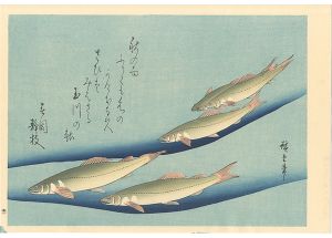 Hiroshige I/A Series of Fish Subjects / Sweetfish(Ayu)【Reproduction】[魚づくし　鮎【復刻版】]
