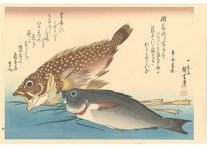 Hiroshige I/A Series of Fish Subjects / Scorpionfish, Chicken grunt and Ginger【Reproduction】[魚づくし　かさご・いさきに薑【復刻版】]