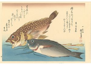 広重初代｢魚づくし　かさご・いさきに薑【復刻版】｣