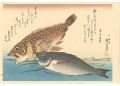 <strong>Hiroshige I</strong><br>A Series of Fish Subjects / Sc......