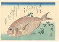 <strong>Hiroshige I</strong><br>A Series of Fish Subjects / Se......