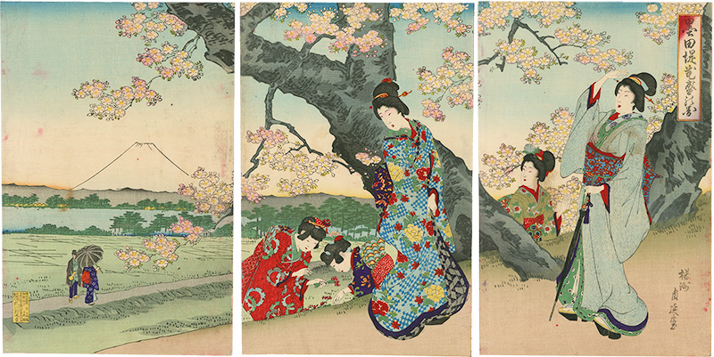 Chikanobu “Cherry Blossoms at Sumida”／